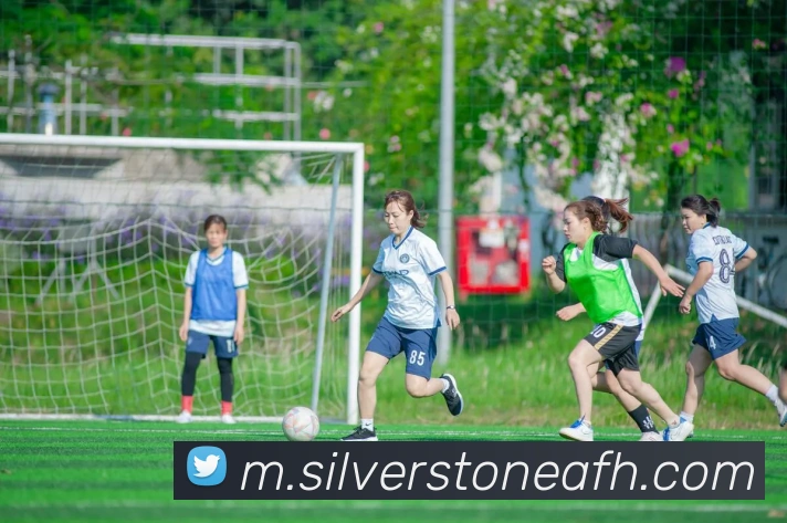 mksports网站APP 高清赛事图